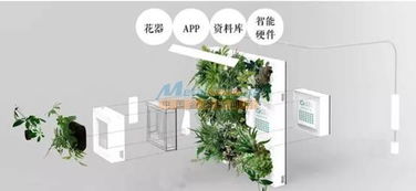 智能綠植墻代理專(zhuān)業(yè)提供 河南潤(rùn)庭裝飾工程