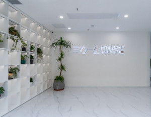 河北三宅一生裝飾工程